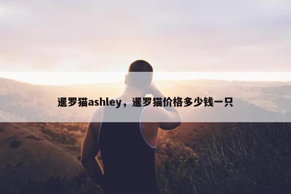 暹罗猫ashley，暹罗猫价格多少钱一只