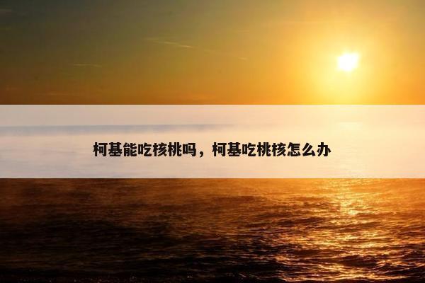 柯基能吃核桃吗，柯基吃桃核怎么办