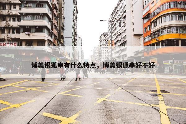 博美银狐串有什么特点，博美银狐串好不好