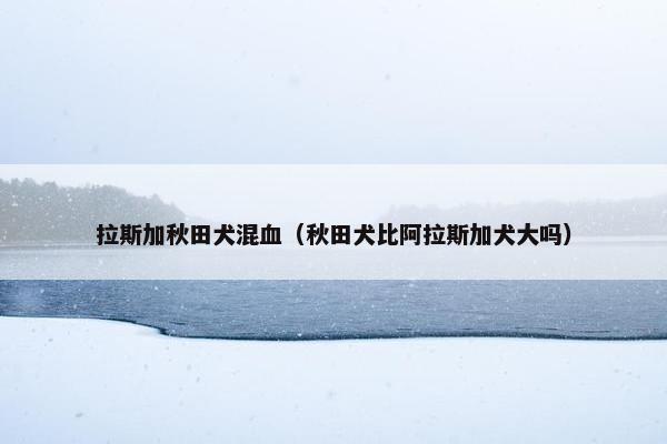 拉斯加秋田犬混血（秋田犬比阿拉斯加犬大吗）
