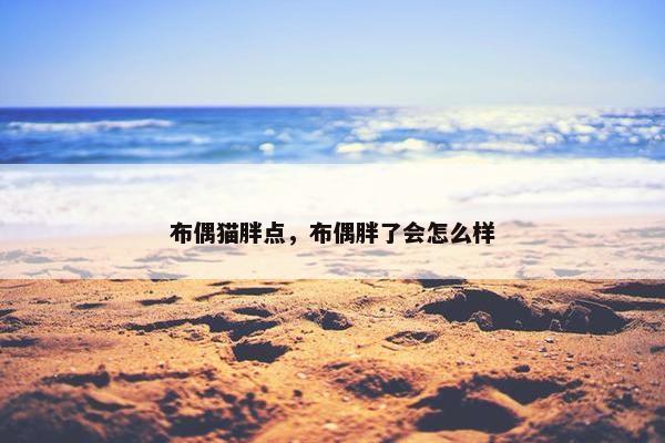 布偶猫胖点，布偶胖了会怎么样