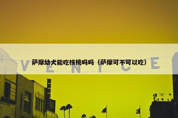 萨摩幼犬能吃核桃吗吗（萨摩可不可以吃）