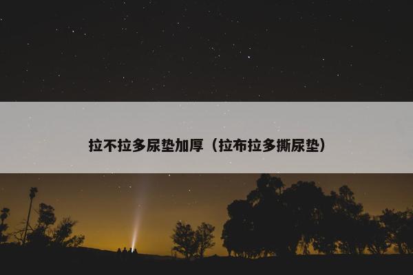 拉不拉多尿垫加厚（拉布拉多撕尿垫）