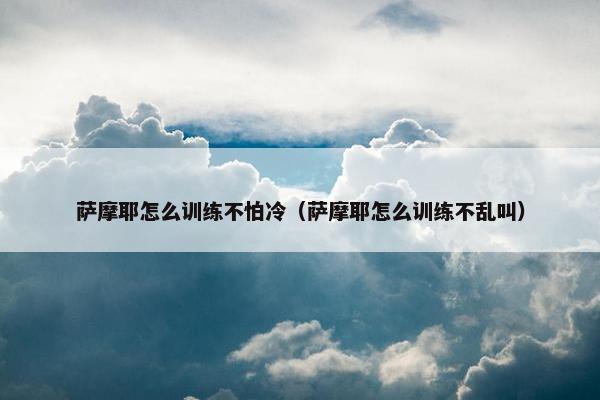 萨摩耶怎么训练不怕冷（萨摩耶怎么训练不乱叫）