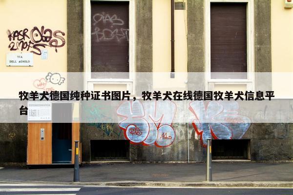 牧羊犬德国纯种证书图片，牧羊犬在线德国牧羊犬信息平台