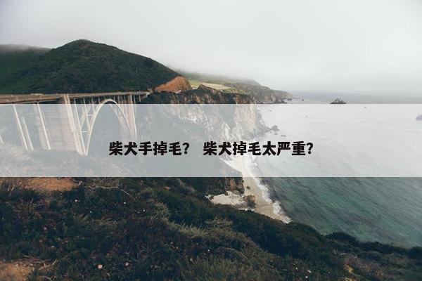 柴犬手掉毛？ 柴犬掉毛太严重？