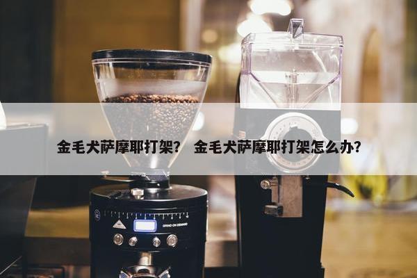 金毛犬萨摩耶打架？ 金毛犬萨摩耶打架怎么办？
