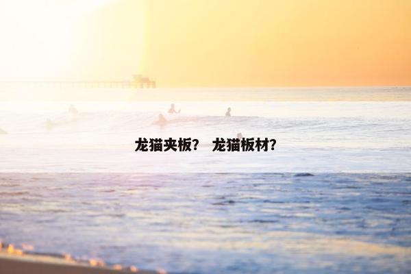龙猫夹板？ 龙猫板材？