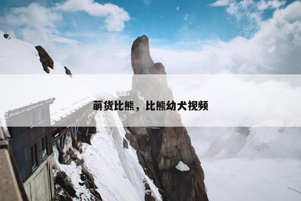 萌货比熊，比熊幼犬视频