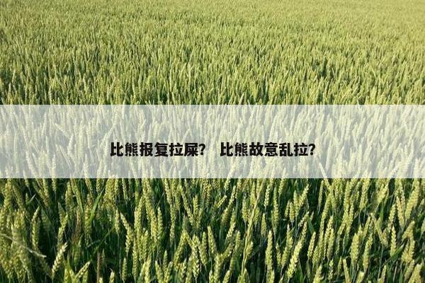 比熊报复拉屎？ 比熊故意乱拉？