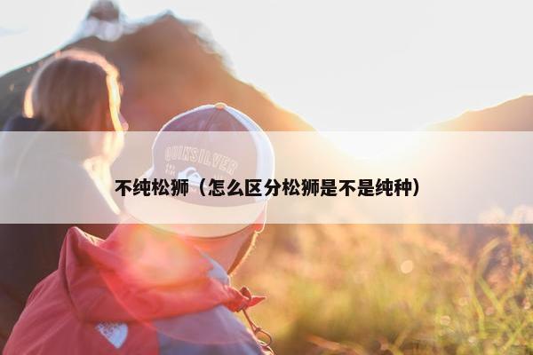 不纯松狮（怎么区分松狮是不是纯种）