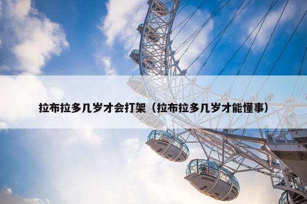 拉布拉多几岁才会打架（拉布拉多几岁才能懂事）