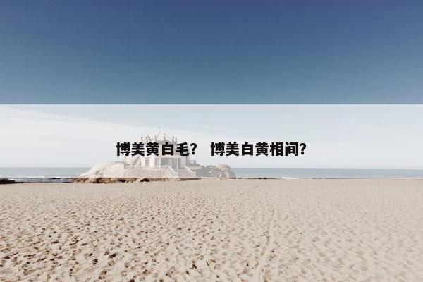 博美黄白毛？ 博美白黄相间？