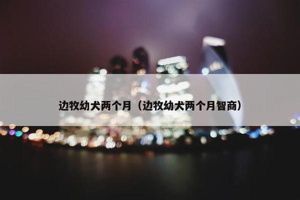边牧幼犬两个月（边牧幼犬两个月智商）