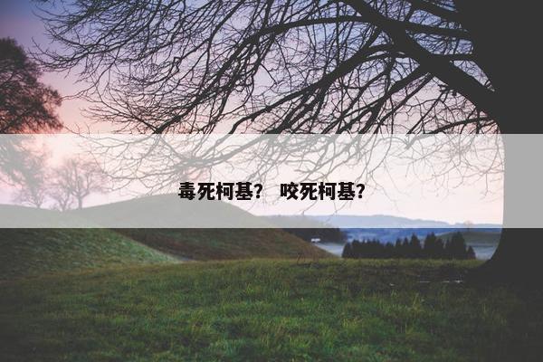 毒死柯基？ 咬死柯基？