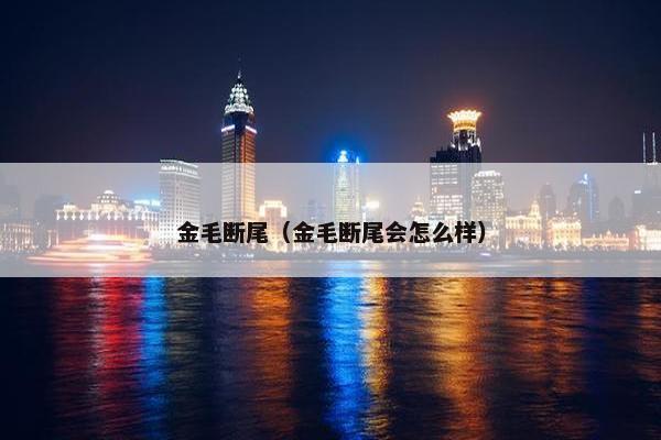 金毛断尾（金毛断尾会怎么样）