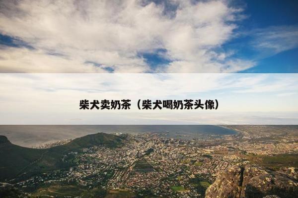 柴犬卖奶茶（柴犬喝奶茶头像）