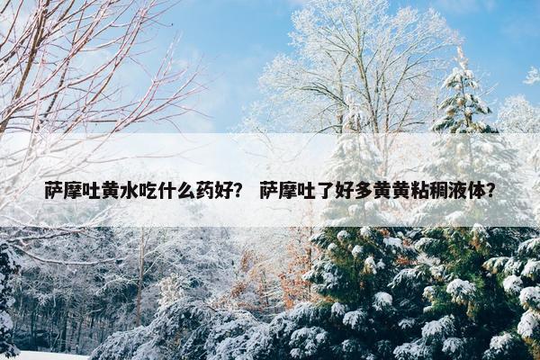 萨摩吐黄水吃什么药好？ 萨摩吐了好多黄黄粘稠液体？