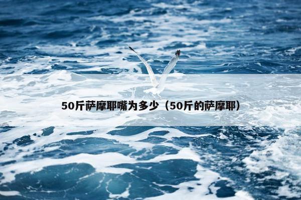 50斤萨摩耶嘴为多少（50斤的萨摩耶）