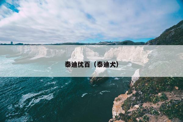 泰迪优百（泰迪犬）