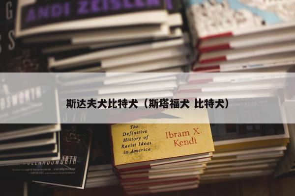 斯达夫犬比特犬（斯塔福犬 比特犬）