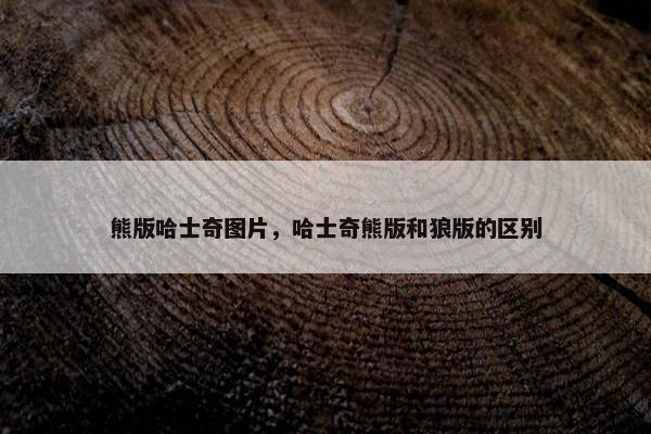 熊版哈士奇图片，哈士奇熊版和狼版的区别