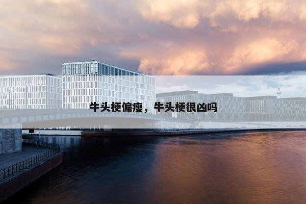 牛头梗偏瘦，牛头梗很凶吗