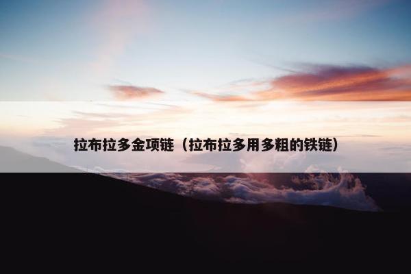 拉布拉多金项链（拉布拉多用多粗的铁链）