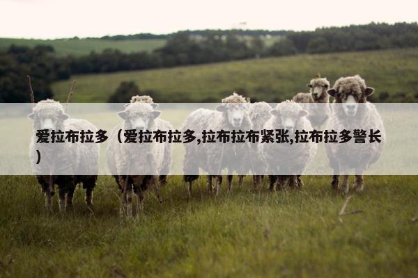 爱拉布拉多（爱拉布拉多,拉布拉布紧张,拉布拉多警长）