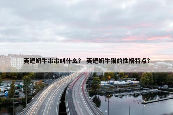 英短奶牛串串叫什么？ 英短奶牛猫的性格特点？