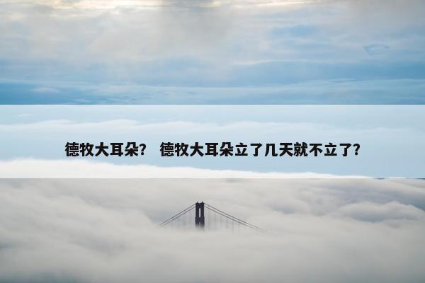 德牧大耳朵？ 德牧大耳朵立了几天就不立了？