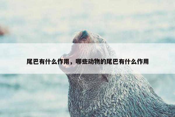 尾巴有什么作用，哪些动物的尾巴有什么作用