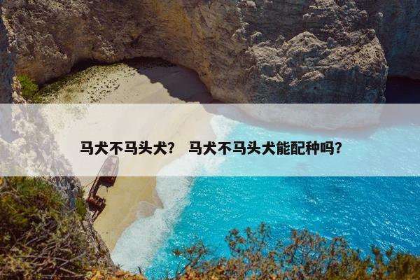 马犬不马头犬？ 马犬不马头犬能配种吗？