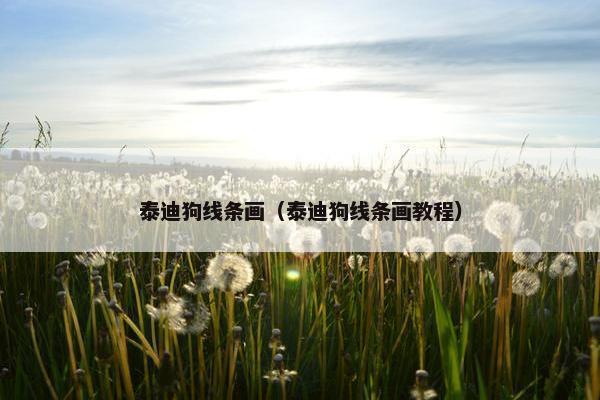 泰迪狗线条画（泰迪狗线条画教程）