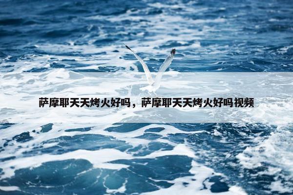 萨摩耶天天烤火好吗，萨摩耶天天烤火好吗视频