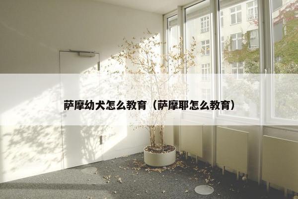 萨摩幼犬怎么教育（萨摩耶怎么教育）