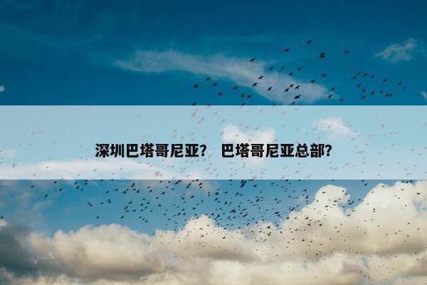 深圳巴塔哥尼亚？ 巴塔哥尼亚总部？