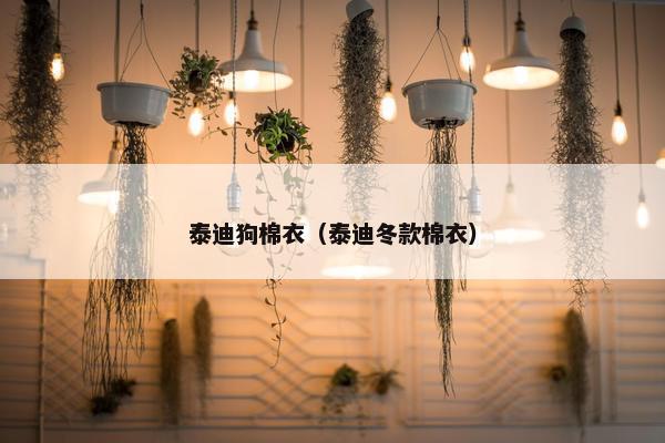 泰迪狗棉衣（泰迪冬款棉衣）