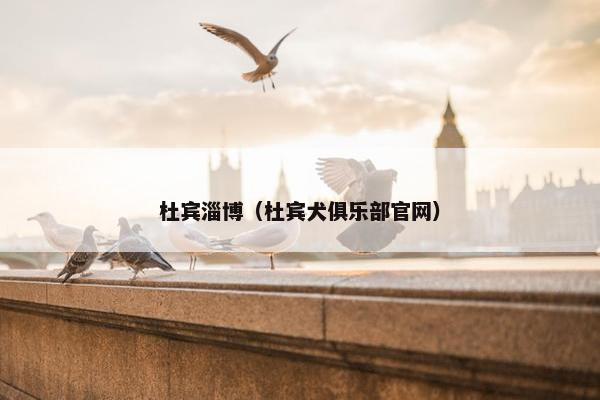 杜宾淄博（杜宾犬俱乐部官网）