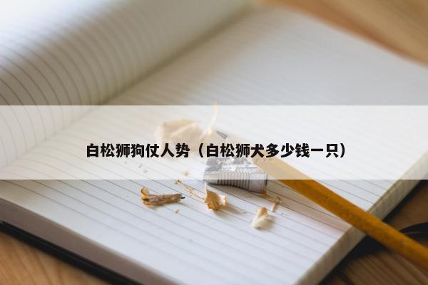 白松狮狗仗人势（白松狮犬多少钱一只）