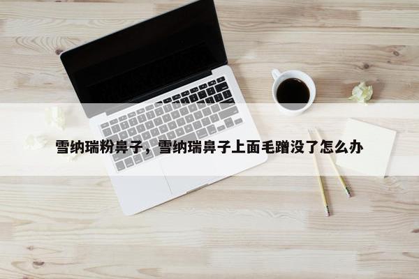 雪纳瑞粉鼻子，雪纳瑞鼻子上面毛蹭没了怎么办