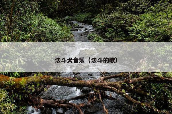 法斗犬音乐（法斗的歌）