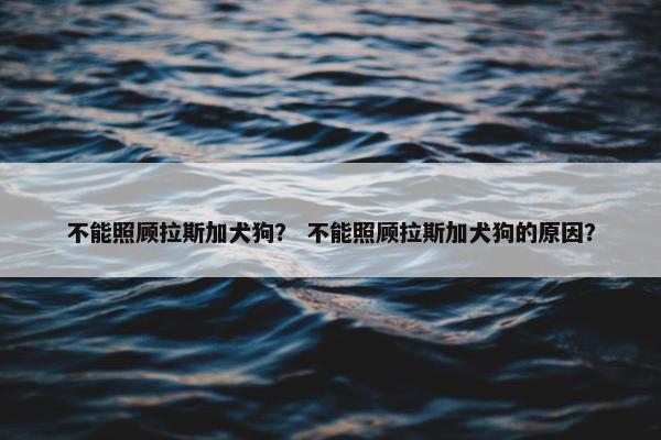 不能照顾拉斯加犬狗？ 不能照顾拉斯加犬狗的原因？