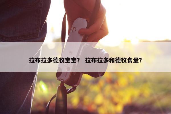 拉布拉多德牧宝宝？ 拉布拉多和德牧食量？