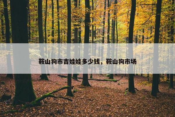 鞍山狗市吉娃娃多少钱，鞍山狗市场