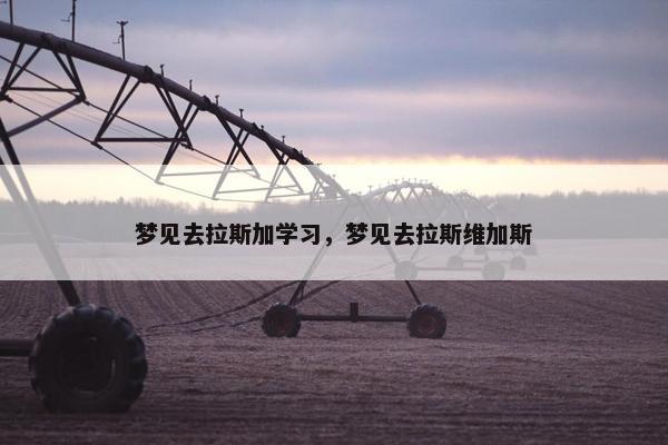 梦见去拉斯加学习，梦见去拉斯维加斯