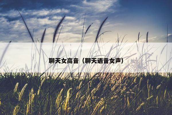 聊天女高音（聊天语音女声）