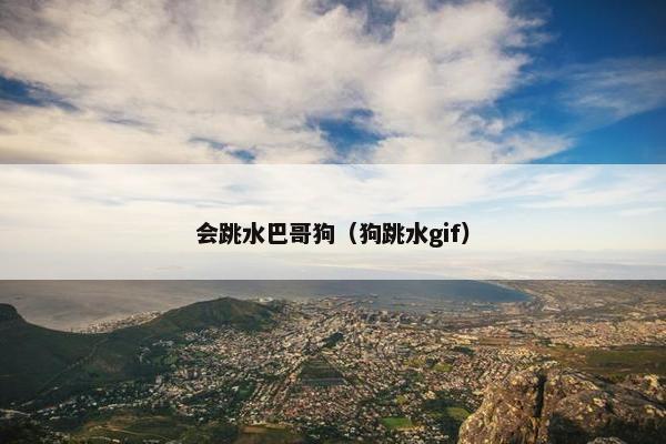 会跳水巴哥狗（狗跳水gif）
