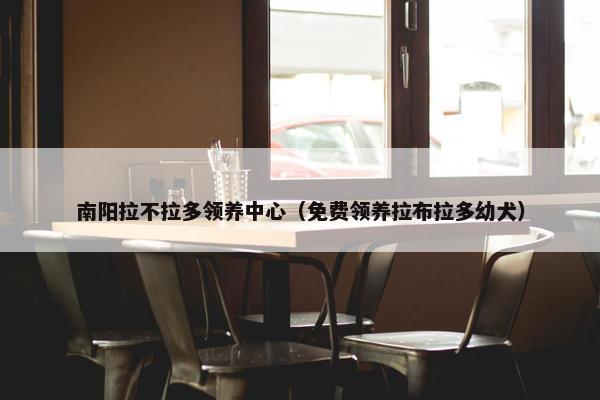 南阳拉不拉多领养中心（免费领养拉布拉多幼犬）