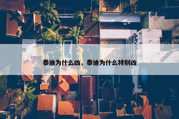 泰迪为什么凶，泰迪为什么特别凶